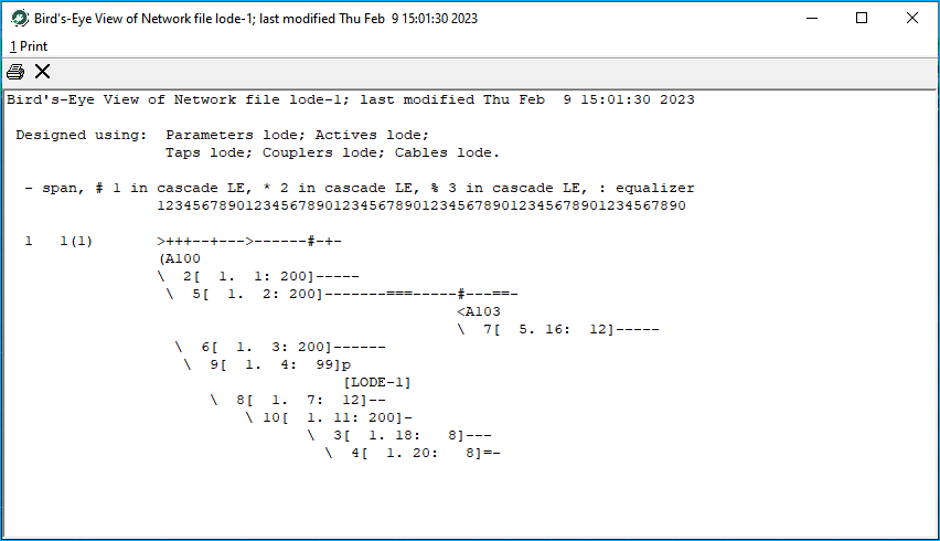 Reports Network Diagram